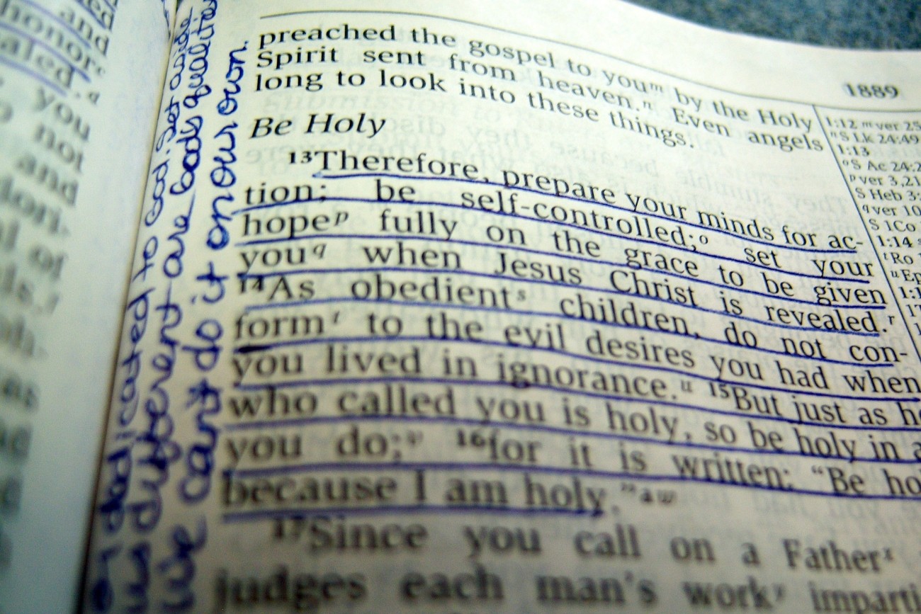 SPIRIT OVER FLESH